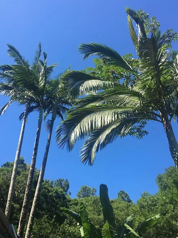 Pousada Jardim Da Lagoa Florianópolis Locanda